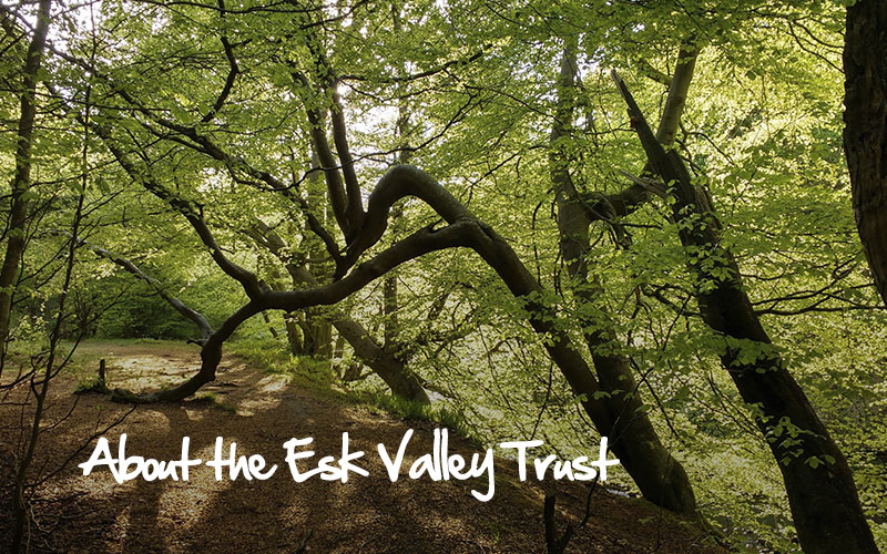 About the Esk Valley Trust