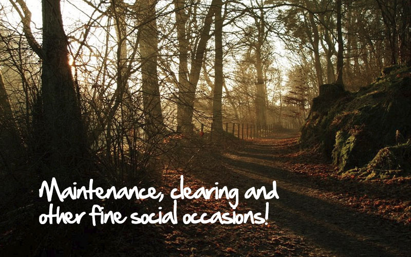 Maintenance, clearing and other fine social occasions!